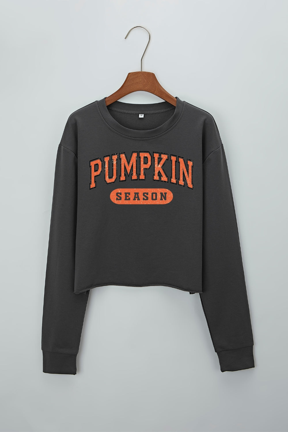 Pumpkin Season Crop Sweatshirt For Women