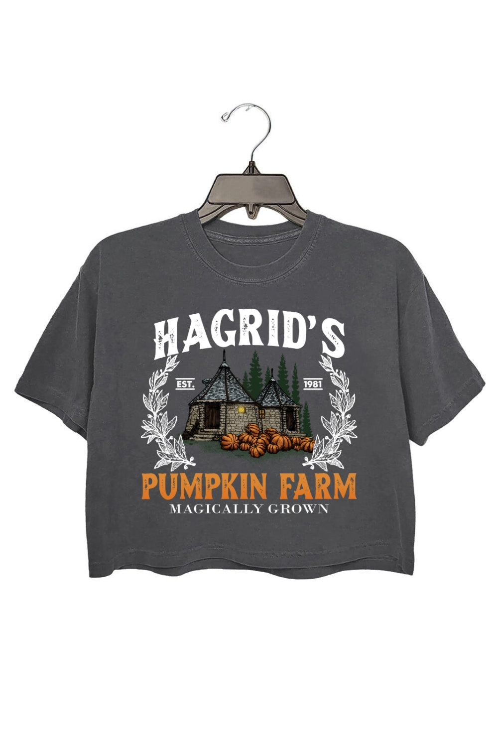 Hagrid's Pumpkin Farm Fall Vibes Crop Tee For Women