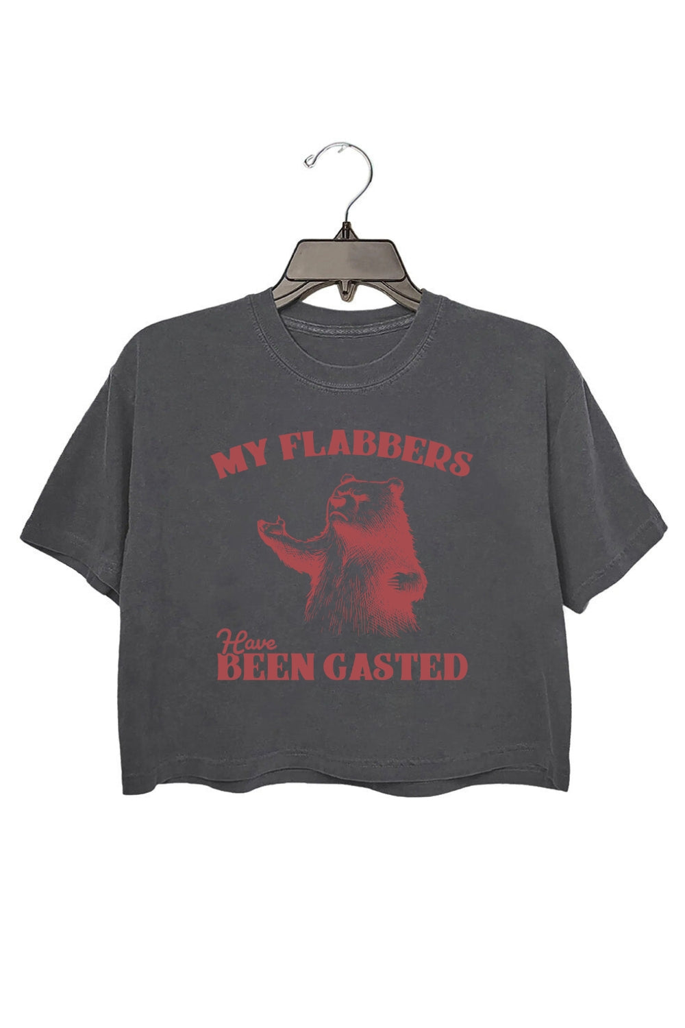 All of My Flabbers Are Gasted Bear Crop Top For Women