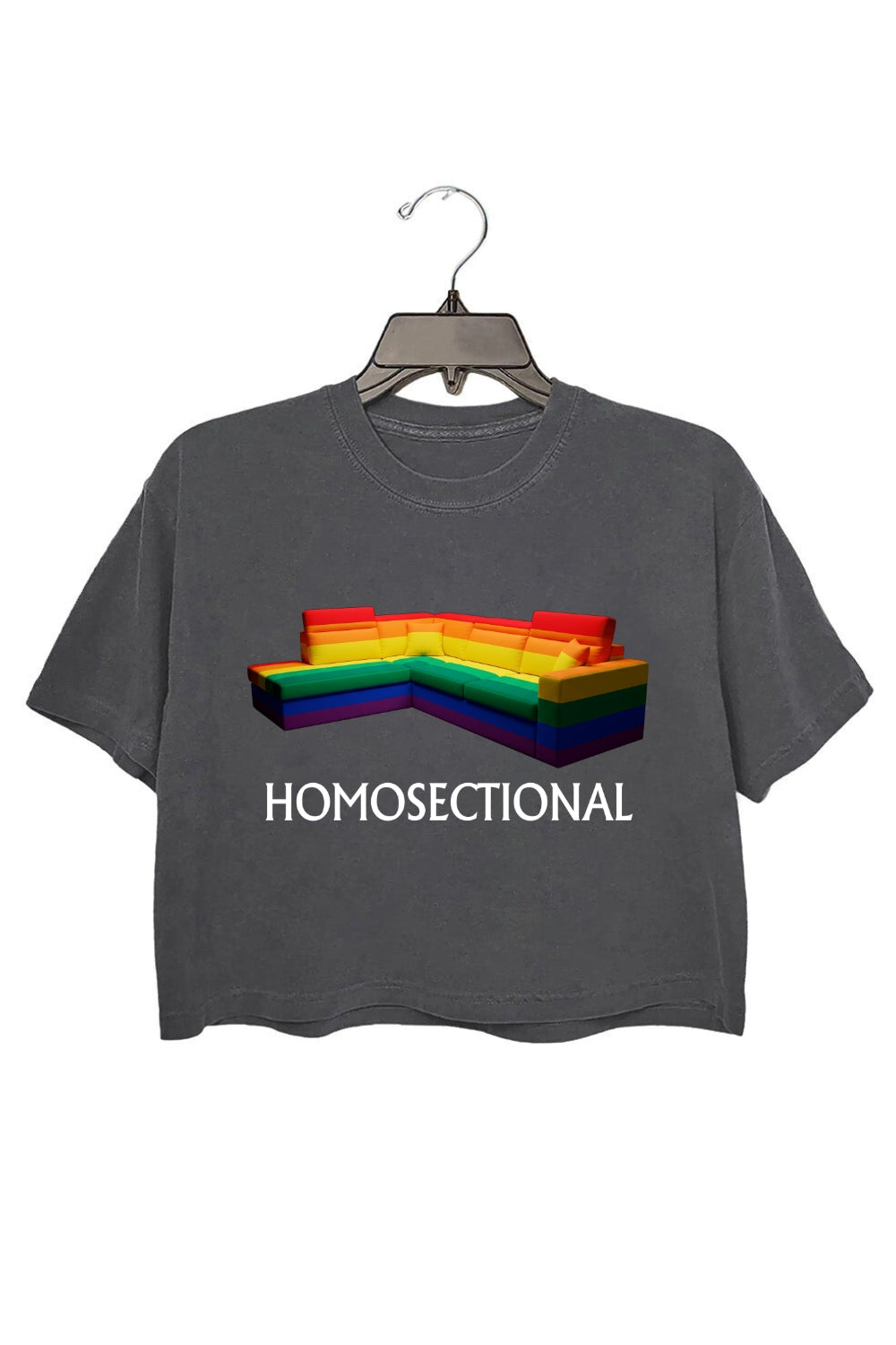 HOMOSECTIONAL Funny Pride Crop Top