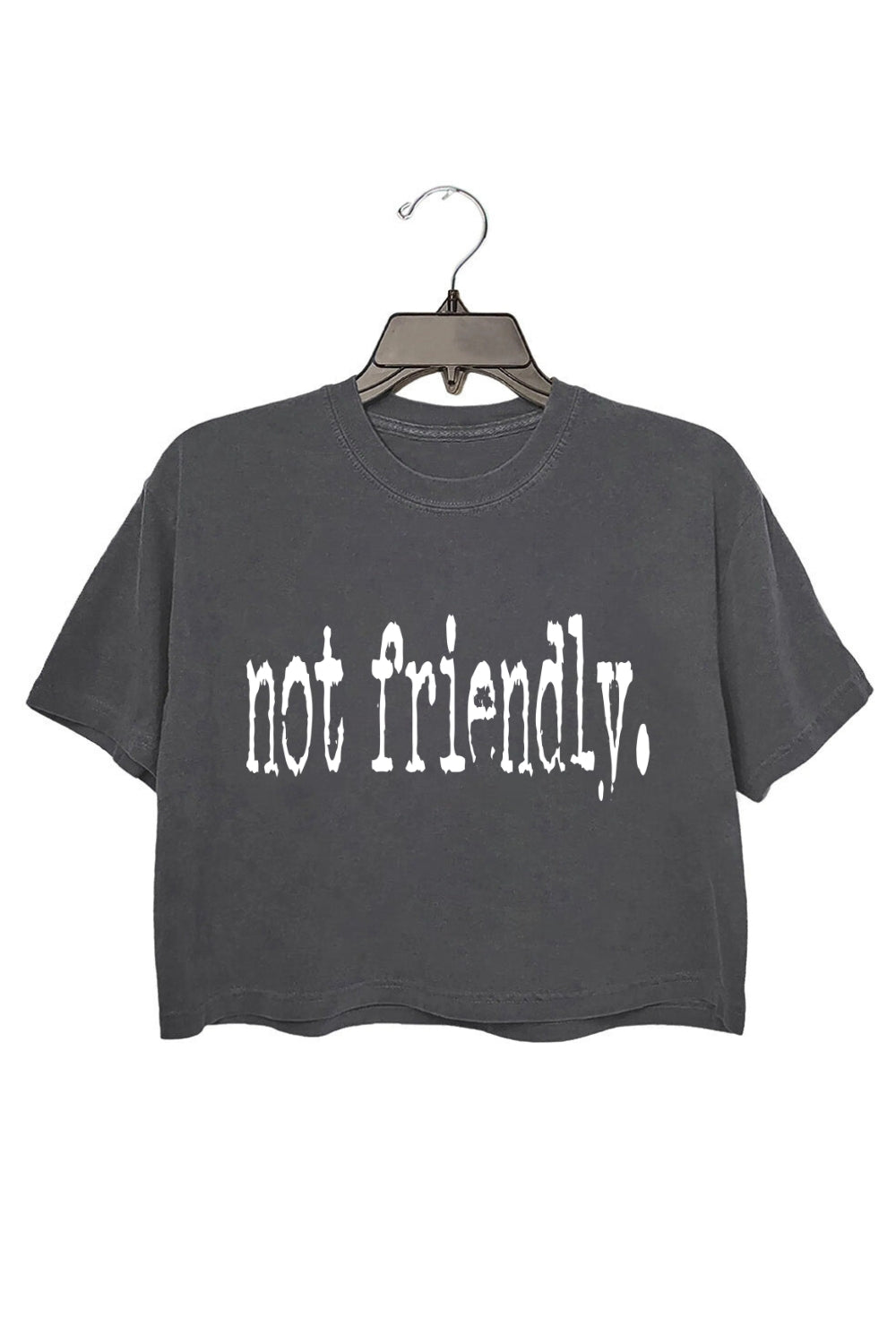 Not Friendly Typography Design Crop Top For Women