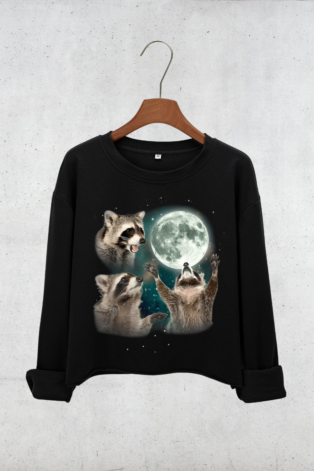 Three Raccoons Vintage Crop Sweatshirt For Women
