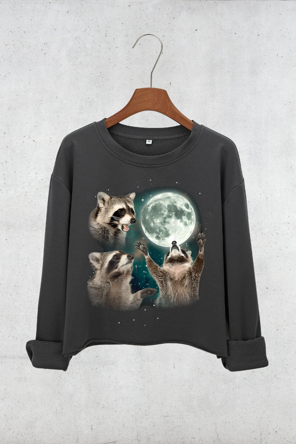 Three Raccoons Vintage Crop Sweatshirt For Women