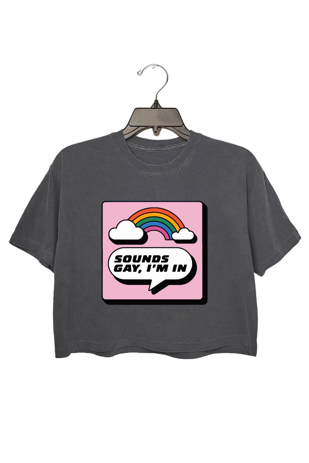 Sounds Gay Im In Cute Crop Tee For Women