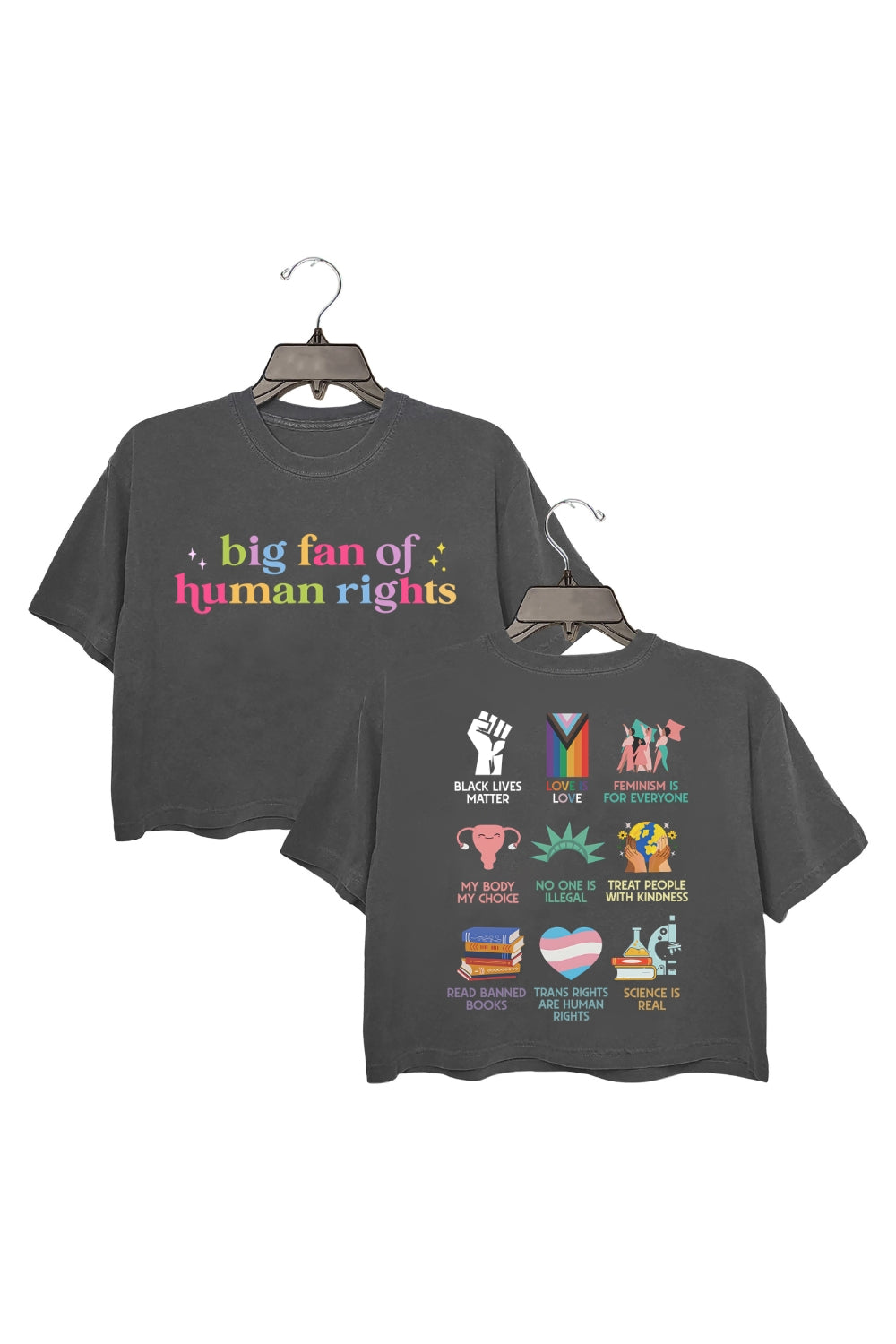 Big Fan Of Human Rights Equality Crop Tee For Women
